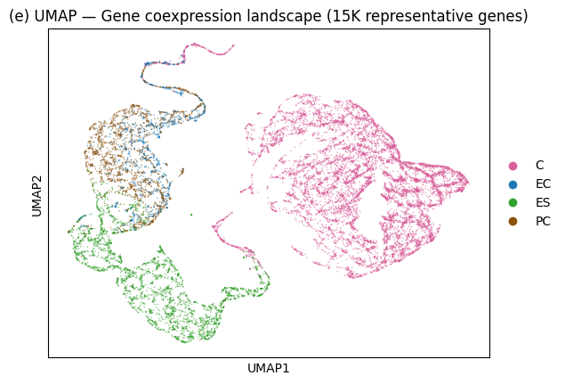 UMAP-Gene coexpression landscape